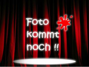 Reflex-R�ckenschild 