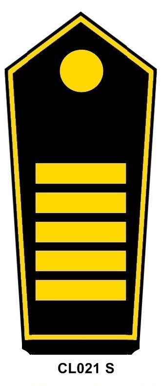 Schulterstück Direktorin u. -Direktor d. Feuerwehren