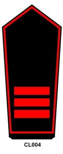 Schulterstück Brandmeister/in